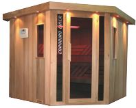 Sauna Canadian Liner 220x220x5
